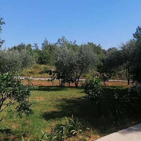 Apartman Petovic Kotor Dış mekan fotoğraf