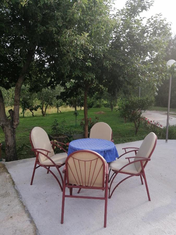 Apartman Petovic Kotor Dış mekan fotoğraf