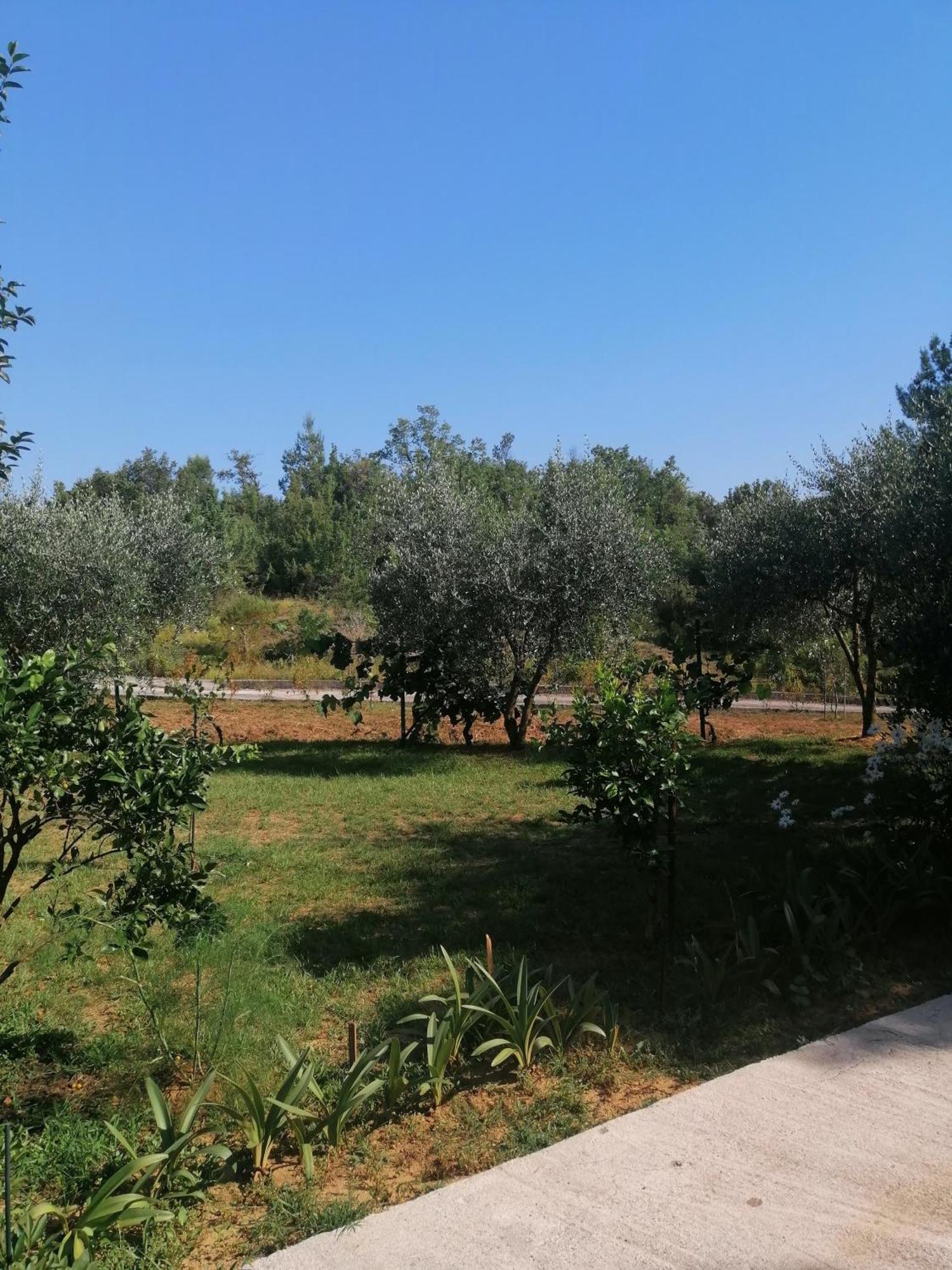 Apartman Petovic Kotor Dış mekan fotoğraf